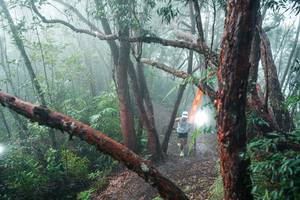 BIB: 
                            <button type="button" onclick="openModal(26343759)" class="btn btn-primary btn-sm float-right btn-popup" data-toggle="modal" data-target=".modal-high-quality">
                        <i class="fas fa-shopping-cart"></i> Add to Cart
                    </button>
                                            <button type="button" onclick="isThisMe(26343759, true)" class="btn btn-success btn-sm float-right btn-popup btn-isme hidden" data-toggle="tooltip" data-placement="bottom" title="นี่คือรูปของคุณใช่ไหม คลิกที่นี่เพื่อเอาเข้าอัลบั้ม">
                        <i class="fas fa-plus"></i> Add to album
                    </button>
                    <button type="button" onclick="isThisMe(26343759, false)" class="btn btn-warning btn-sm float-right btn-popup btn-isnotme hidden">
                        <i class="fas fa-ban"></i> Remove from album
                    </button>